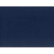 Сэндвич-панель лист 10х3000х1300  стальной синий 515005167